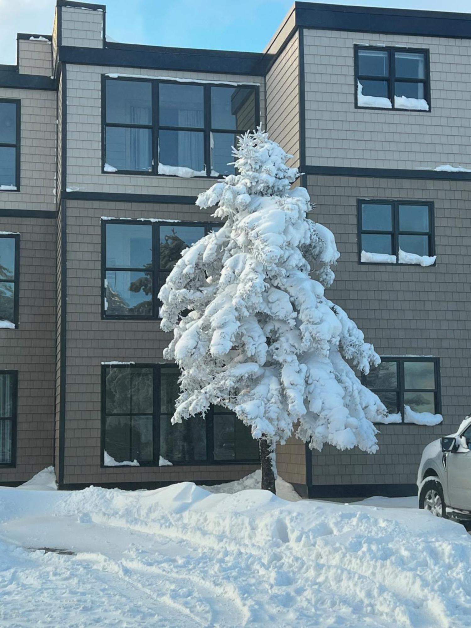 Snowcrest Condo Walking Distance To Slopes Snowshoe Extérieur photo
